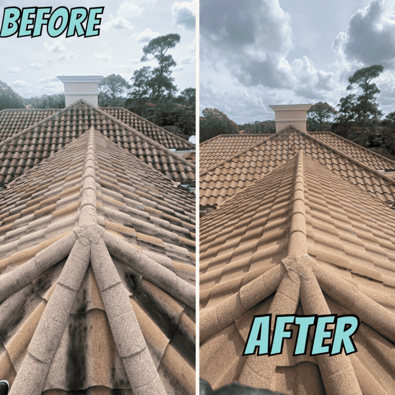 Best Roof Cleaning Company in Martin County, FL